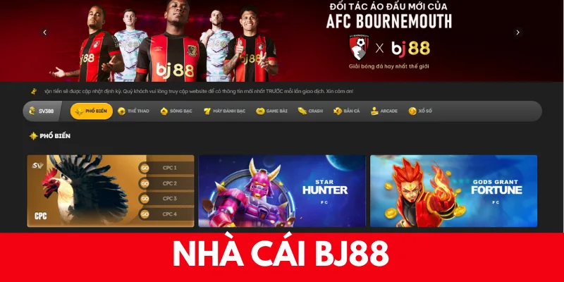 Giới thiệu chung về thương hiệu BJ88