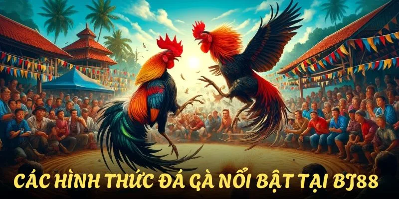 Những hình thức cá cược tại đá gà BJ88