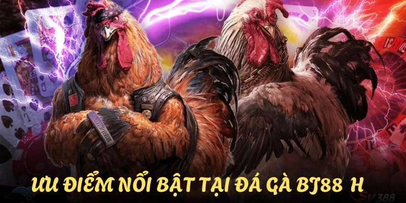 Ưu điểm tốt nhất của đá gà BJ88