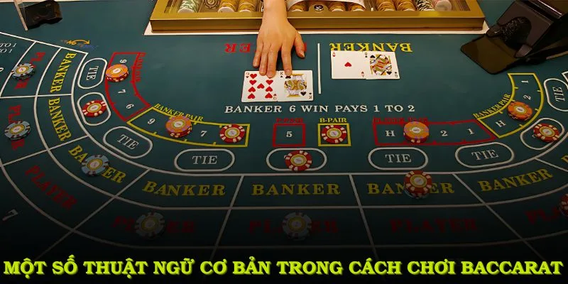 Thuật ngữ trong game Baccarat