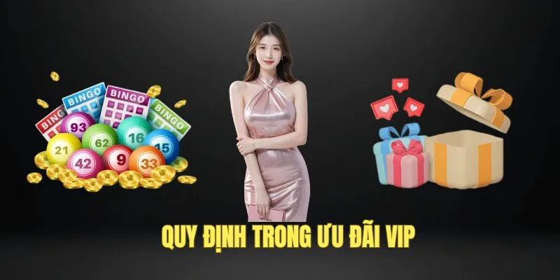 Quy định của chính sách hội viên VIP BJ88